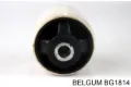 Сайлентблок кронштейна задньої подушки двигуна BCGUMA 1211