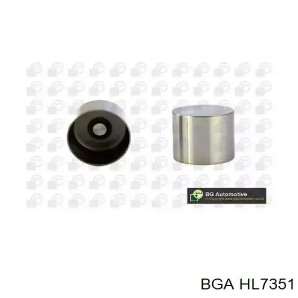 Гідрокомпенсатор 7700102351 Renault (RVI)