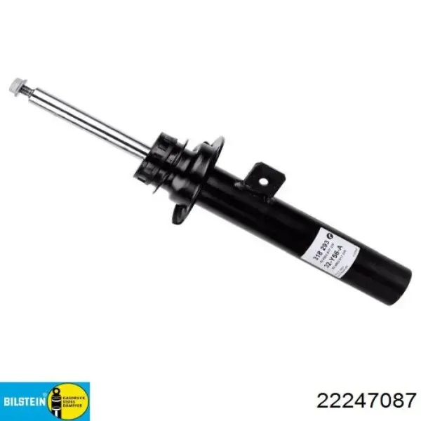 Амортизатор передній, правий RS318293 Raiso