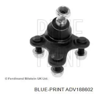 Кульова опора, нижня, права ADV188602 Blue Print