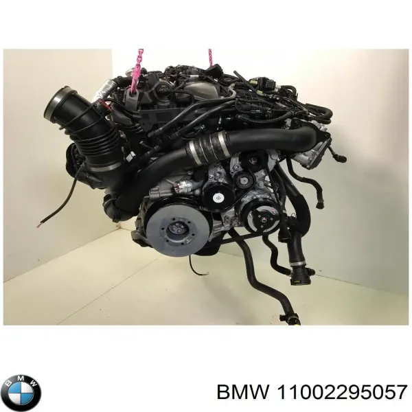 Двигун 11002295057 BMW
