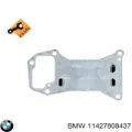 Прокладка радіатора масляного BMW 11427808437