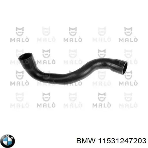 Шланг/патрубок радіатора охолодження, нижній 11531247203 BMW