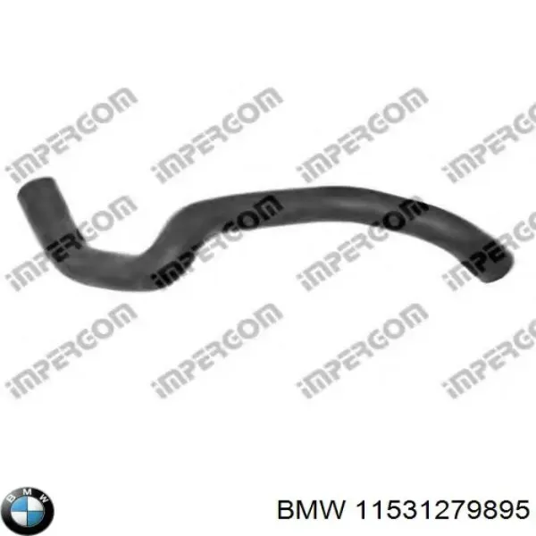  11531279895 BMW