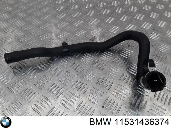  11531436374 BMW