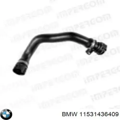 Шланг/патрубок радіатора охолодження, нижній 11531436409 BMW