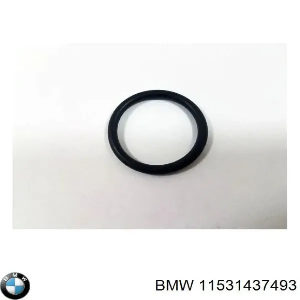  11531437493 BMW