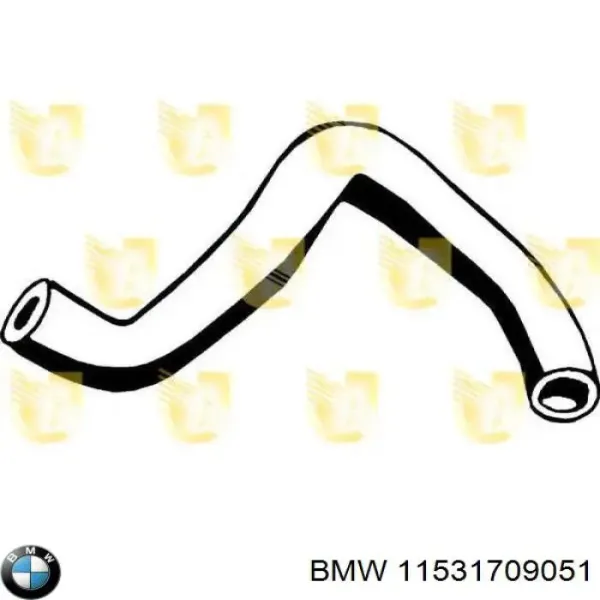 Шланг/патрубок радіатора охолодження, верхній 11531709051 BMW