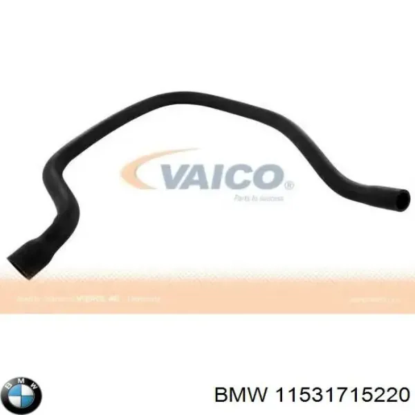  11531715220 BMW