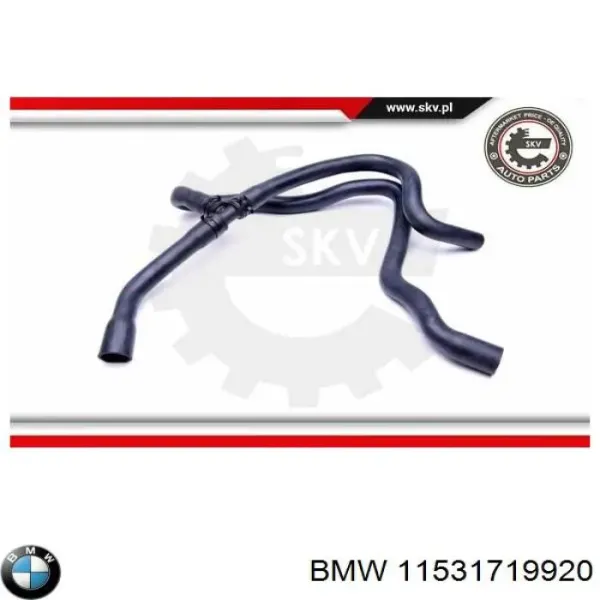 Шланг/патрубок радіатора охолодження, нижній 11531719920 BMW