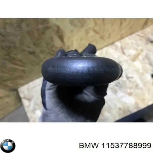  11537788999 BMW