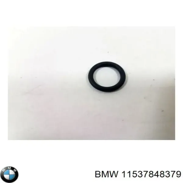 11537848379 BMW