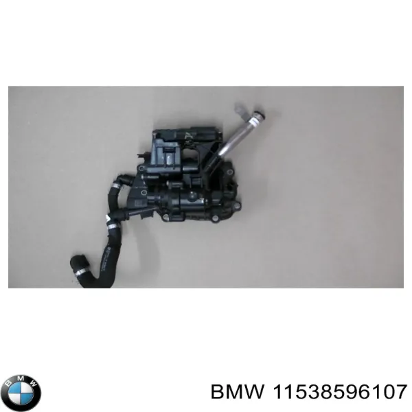  11538596107 BMW