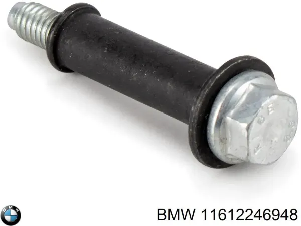 Прокладка впускного колектора 11612246948 BMW