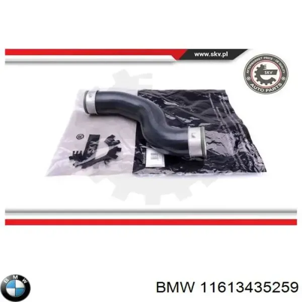 11613435259 BMW
