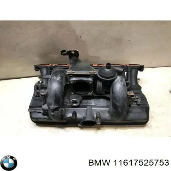 Впускний колектор 11617502274 BMW
