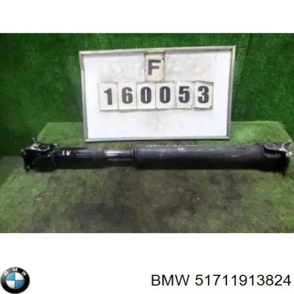  51711913824 BMW
