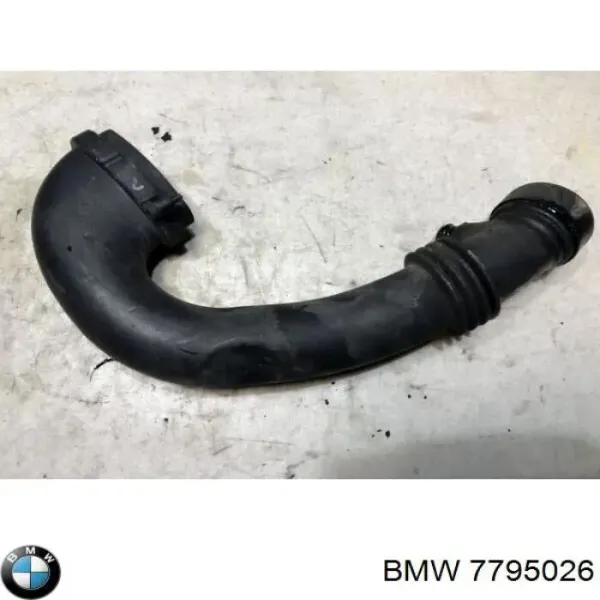  7795026 BMW
