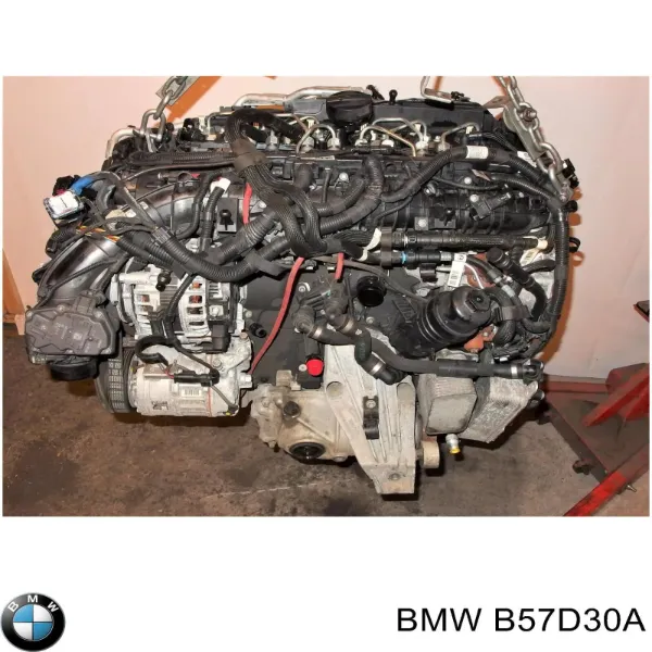 Двигун B57D30A BMW