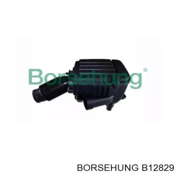 Корпус фільтра 1K0129607AQ Borsehung