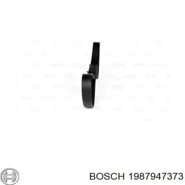 Ремінь генератора 8PK2215 Continental/Siemens