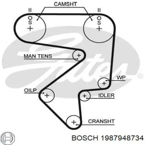 Ремінь ГРМ 1987948734 Bosch