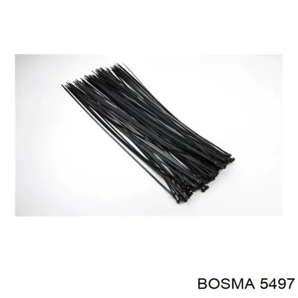  5497 Bosma