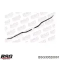 Передній стабілізатор Ford Transit T