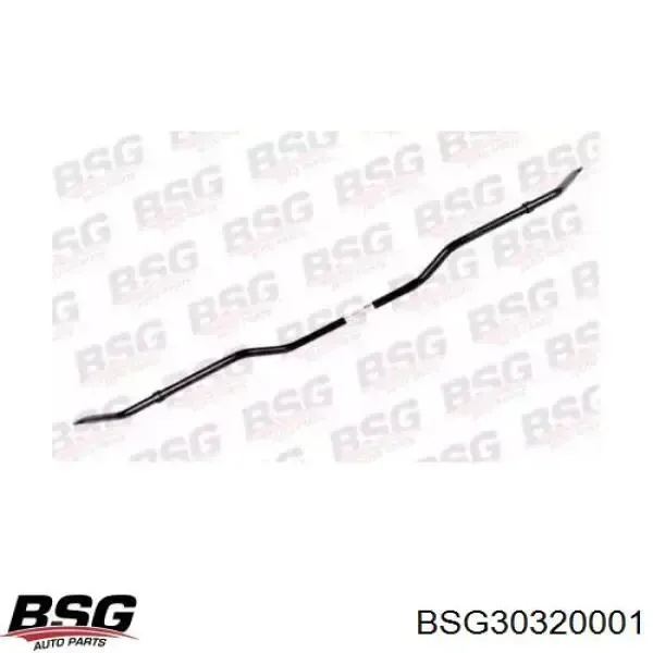 Передній стабілізатор BSG30320001 BSG