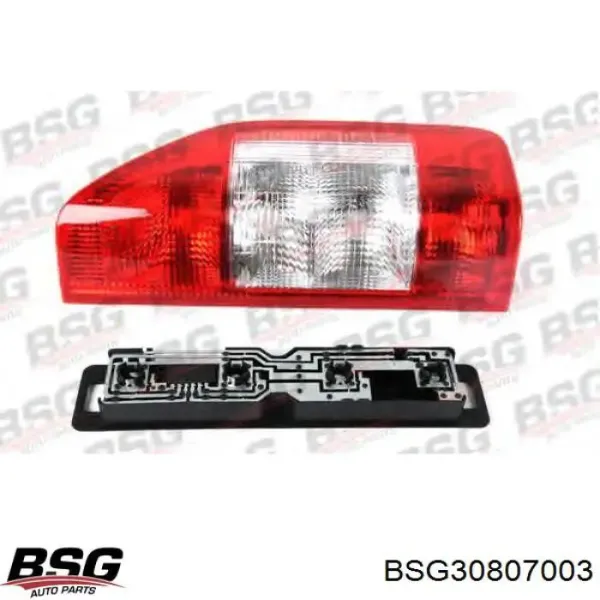  30807003 BSG