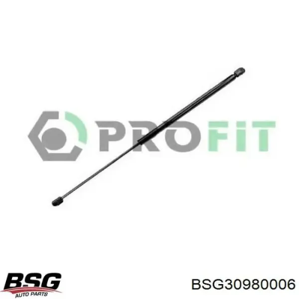 Амортизатор багажника BSG30980006 BSG