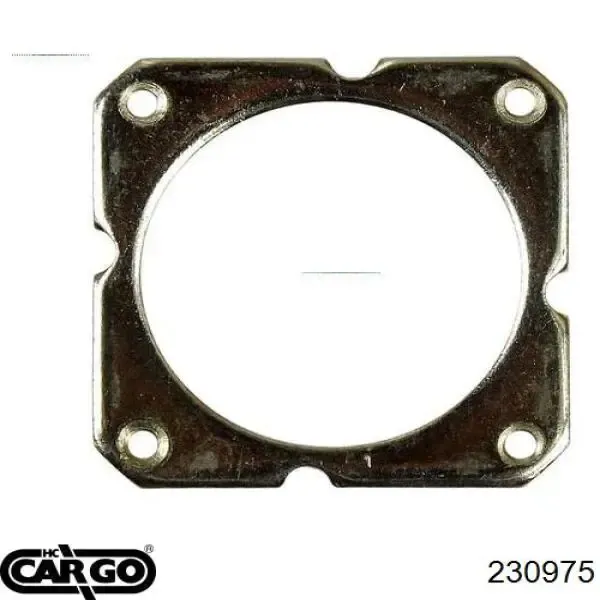  230975 Cargo