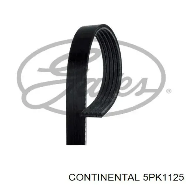 Ремінь генератора 5PK1125 Continental/Siemens