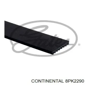 8PK2290 CONTINENTAL