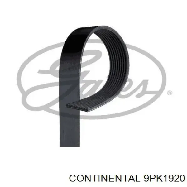 Ремінь генератора 9PK1920 Continental/Siemens