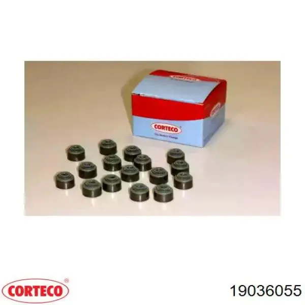 Сальник клапана 19036055 Corteco