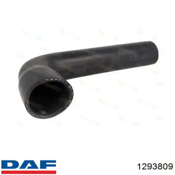 Шланг/патрубок радіатора охолодження, нижній 1293809 DAF