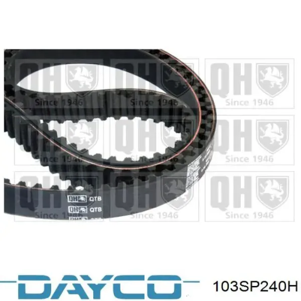 Ремінь ГРМ 103SP240H Dayco