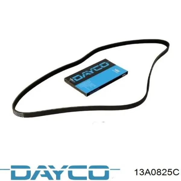 Ремінь генератора 13A0825C Dayco