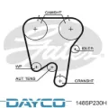 Ремінь ГРМ DAYCO 148SP230H