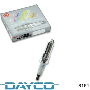 8161 DAYCO