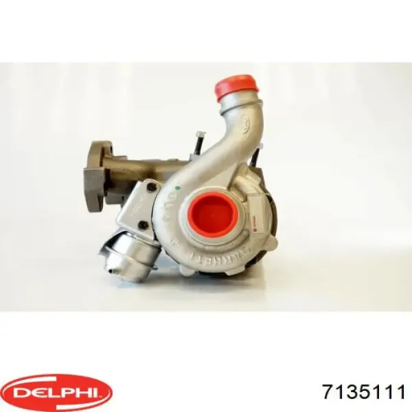  7135111 Delphi