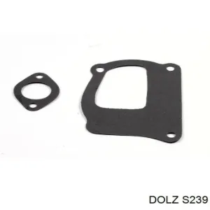 S239 DOLZ