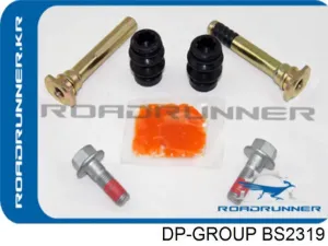 BS2319 DP GROUP