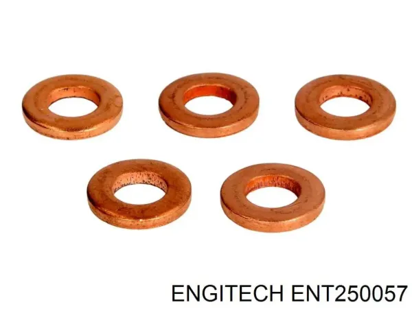 Кільце форсунки ENT250057 Engitech