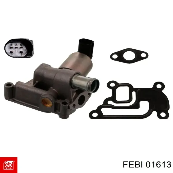  01613 Febi