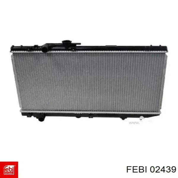  02439 Febi
