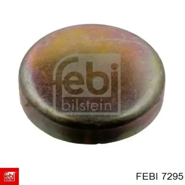 Заглушка блоку циліндрів 7295 Febi