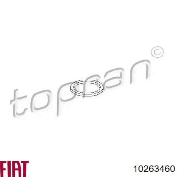 Прокладка натягувача ланцюга ГРМ 10263460 Fiat/Alfa/Lancia