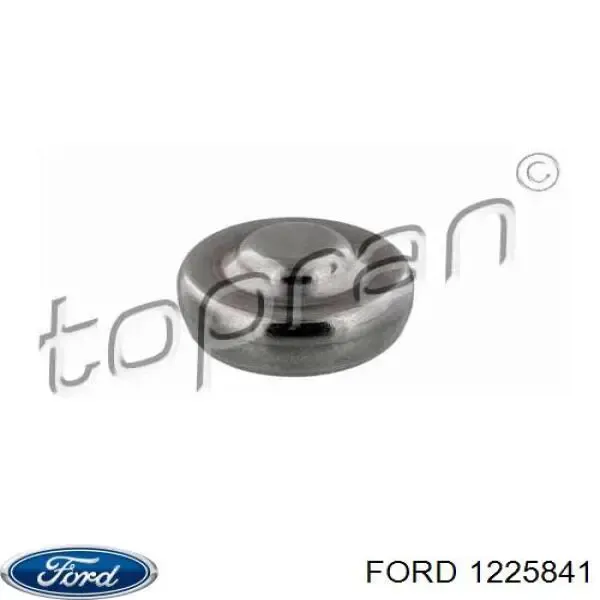1225841 Ford Заглушка головки блока